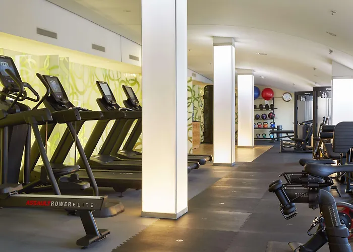 Hilton Frankfurt Airport 4* Fráncfort del Meno